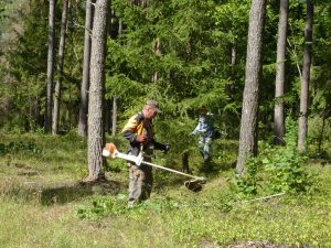 Zdjęcie przedstawia osoby pracujące w lesie. Na pierwszym planie widać męższczyznę z podkaszarką, za drzewem widać częściowo drugą pracującą osobę.