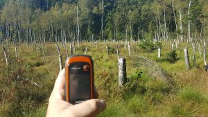 Zdjęce przedstawia dłoń trzymającą urządzenie wykorzystane do monitoringu, na tle wystających pni drzew, w oddali las